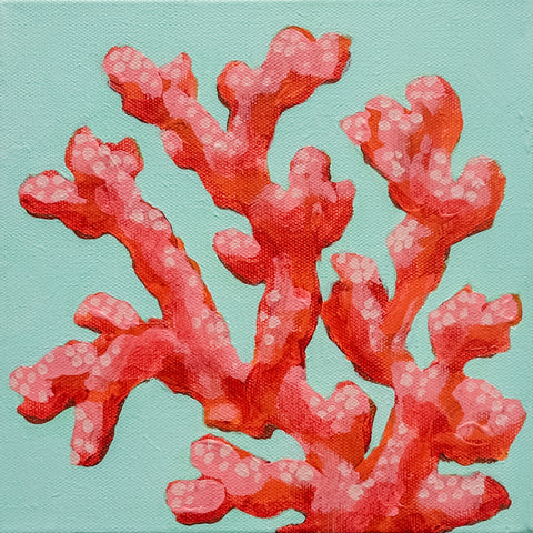Red Coral No. 1