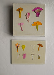 Floral Fungi