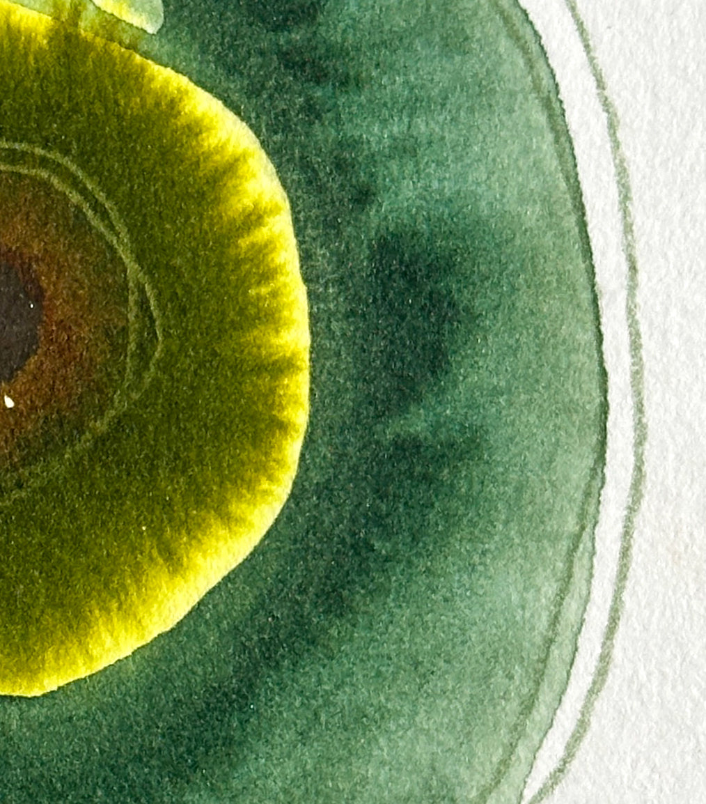 God's Eye 128