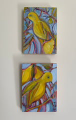 Bird & Peartree II