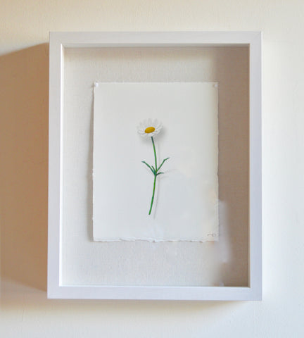 Petite Daisy