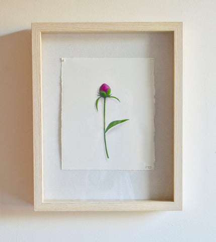 Petite Rosebud