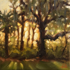 Golden Oak