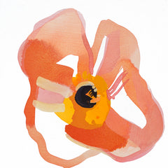 Pink Poppy