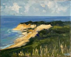 Vineyard Bluff