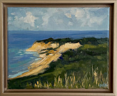 Vineyard Bluff