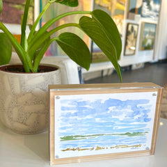 Lowcountry Marsh V
