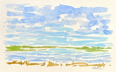 Lowcountry Marsh V