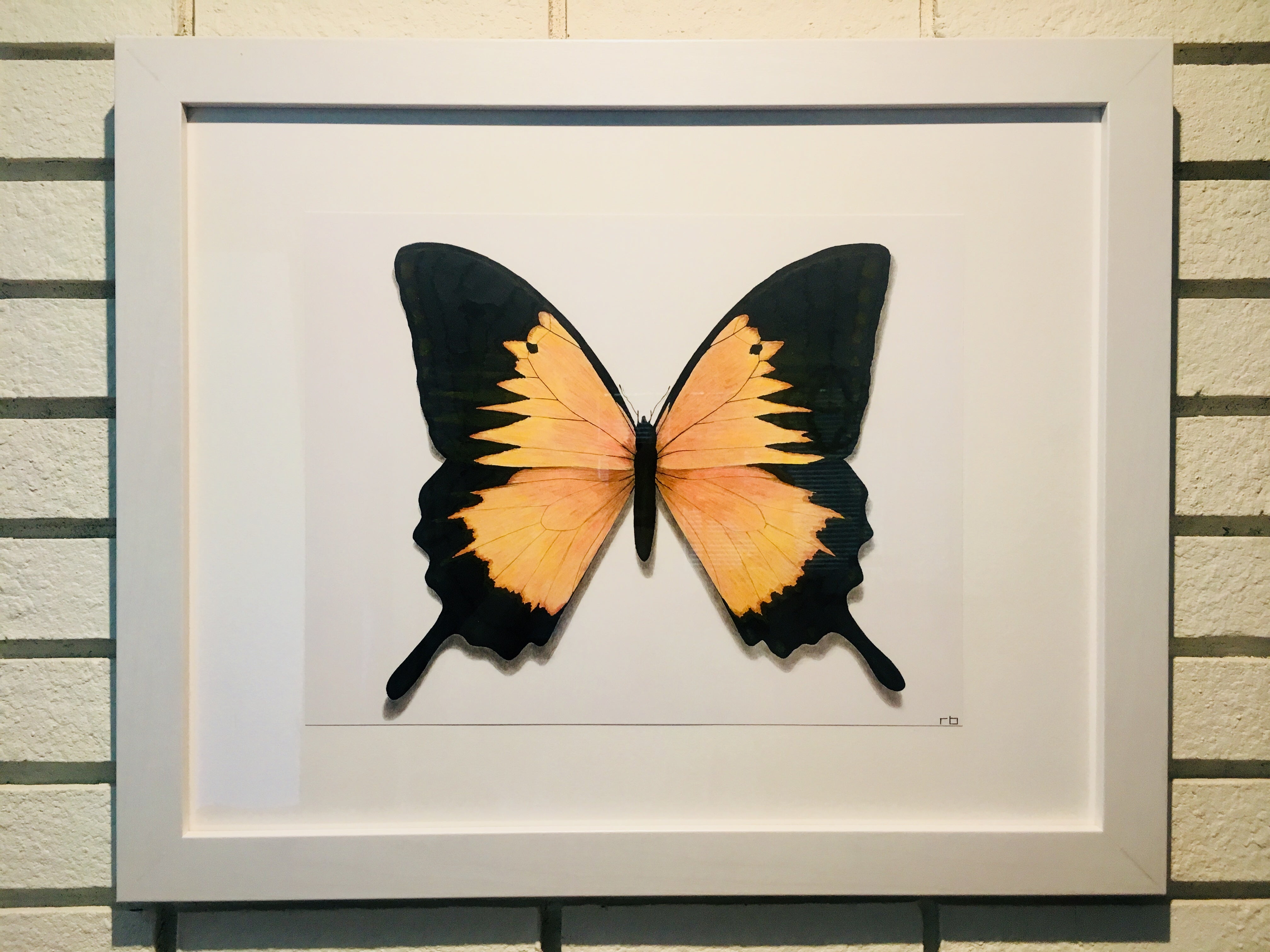 Butterfly Study 3