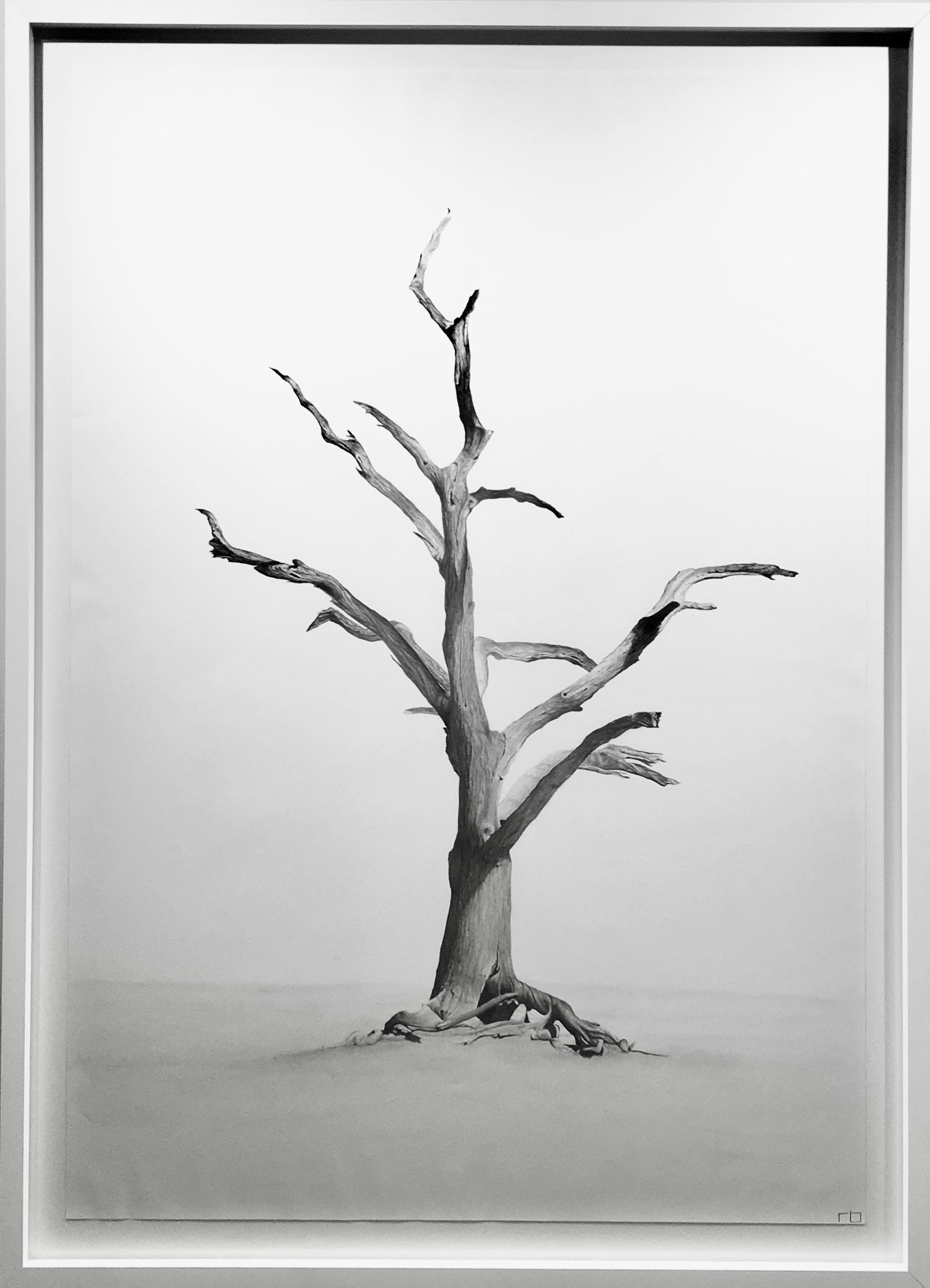 Desert Tree