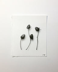 Petite Acorn II