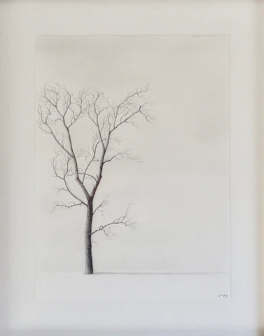 Tree Study