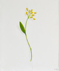 Yellow Flower 3