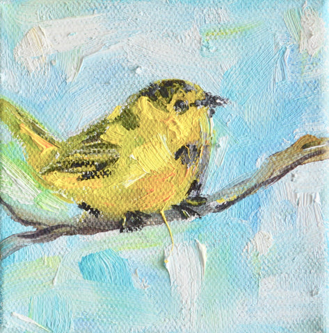 Hooded Warbler